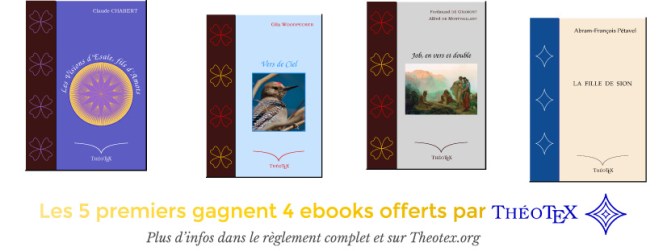 Prix Ed Théotex-01.jpg