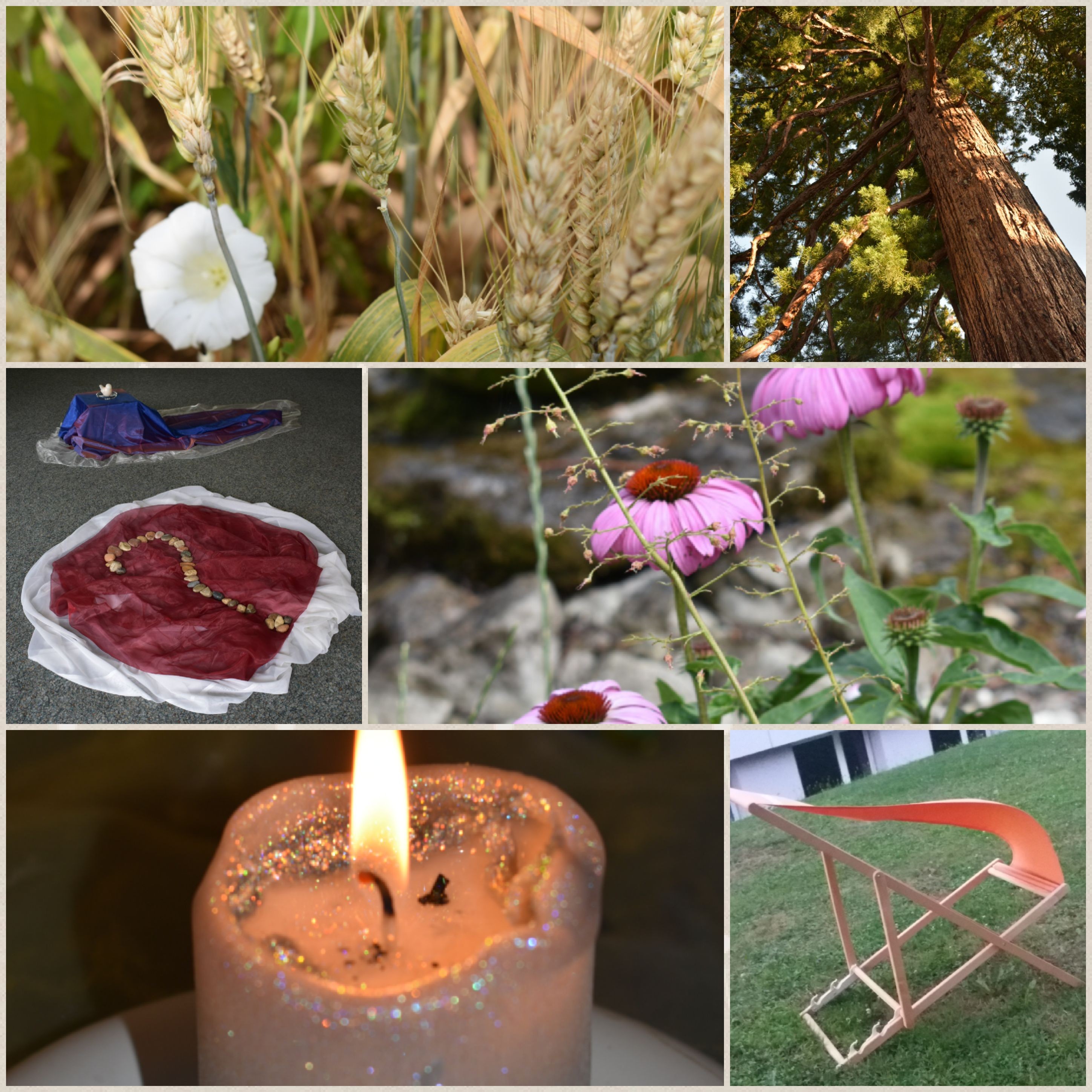 Re-trouver le sens du temps … Re-trouver le sens du temps …