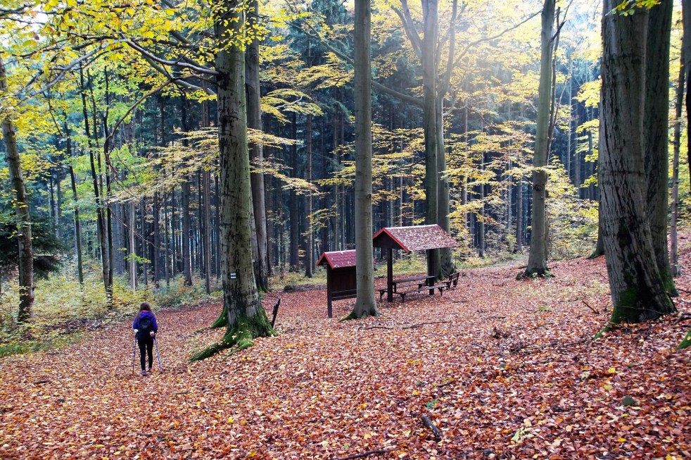 Changement de saison!