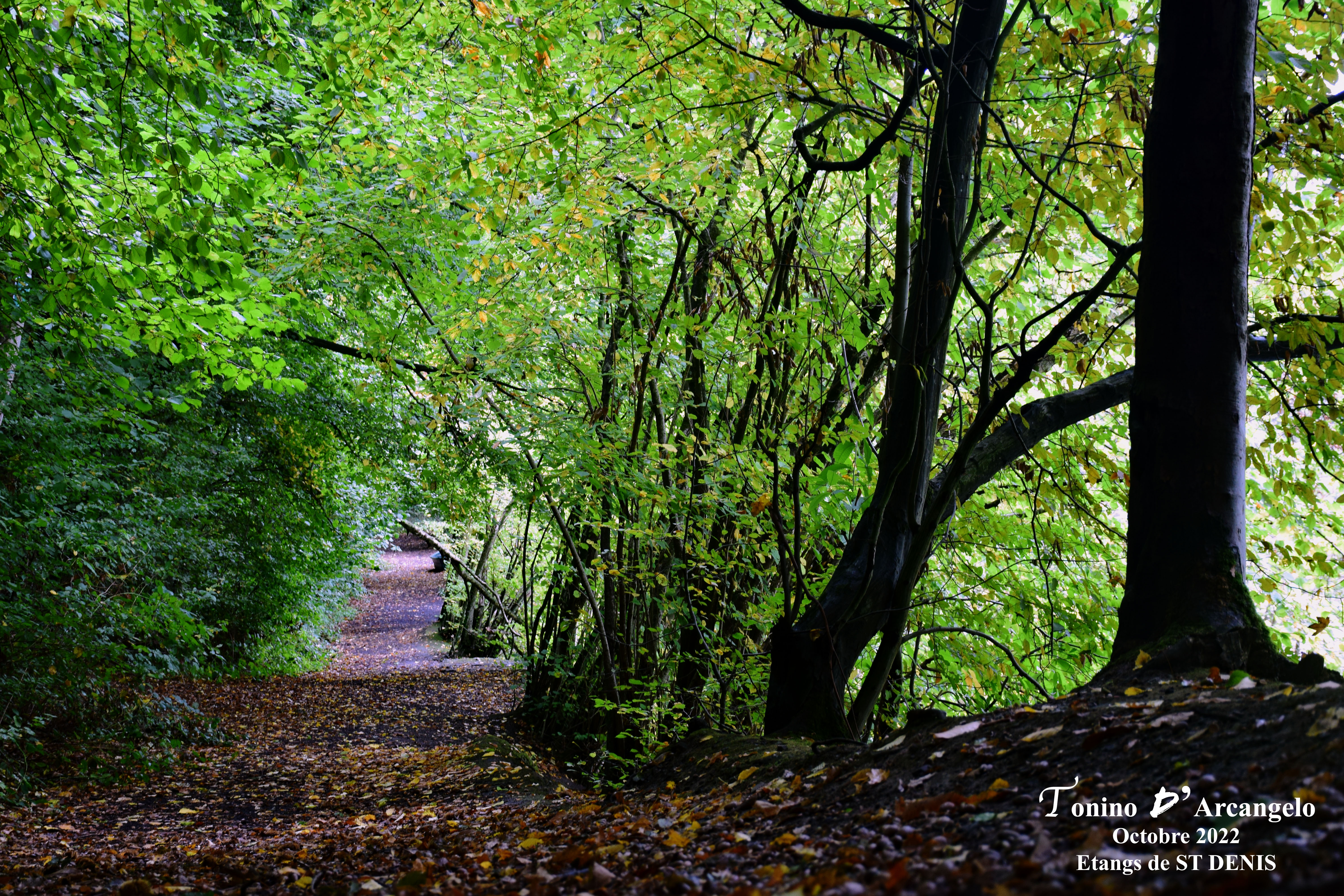 Une chose est&nbsp;certaine