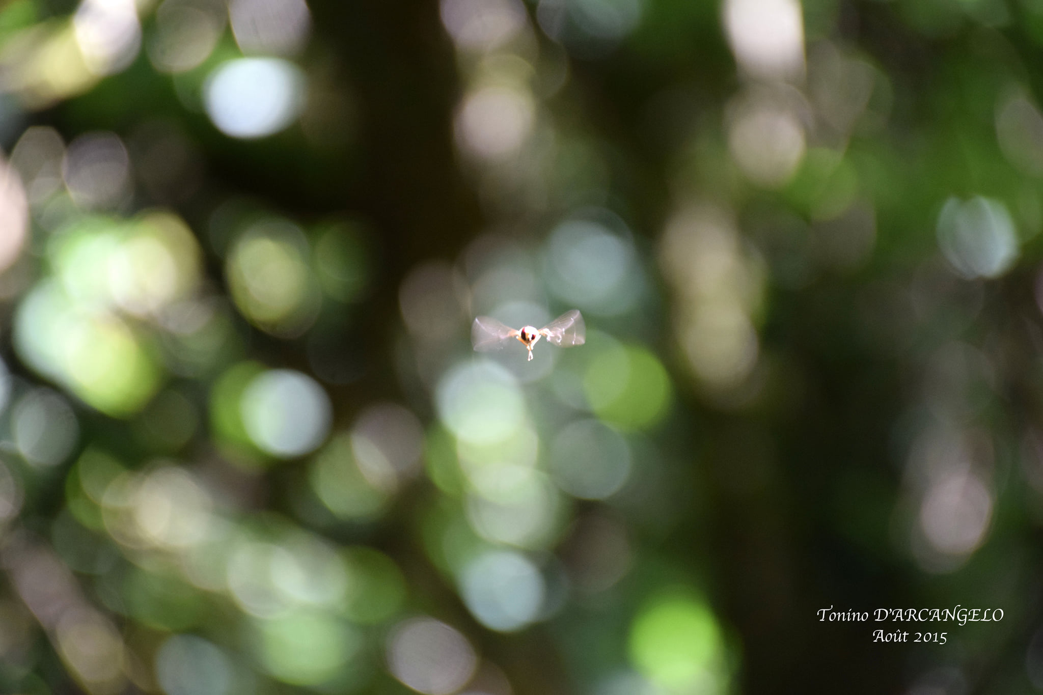 QUI PEUT SAVOIR CE QUI L&rsquo; ATTEND VRAIMENT&nbsp;?
