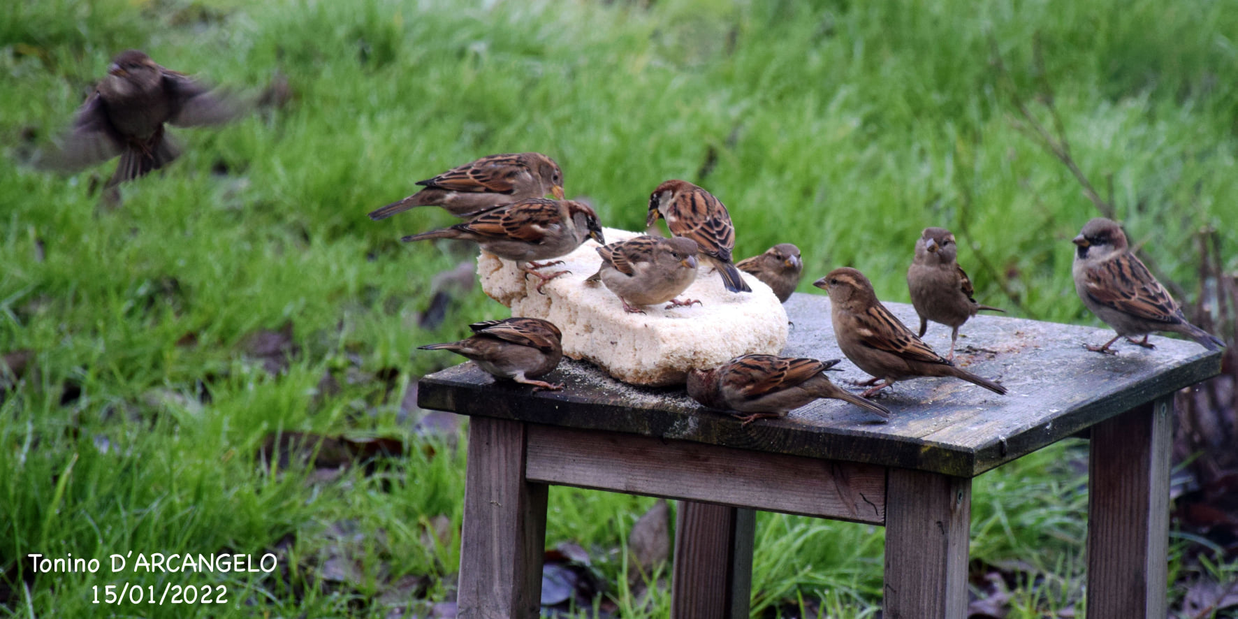 Une Eglise solidaire