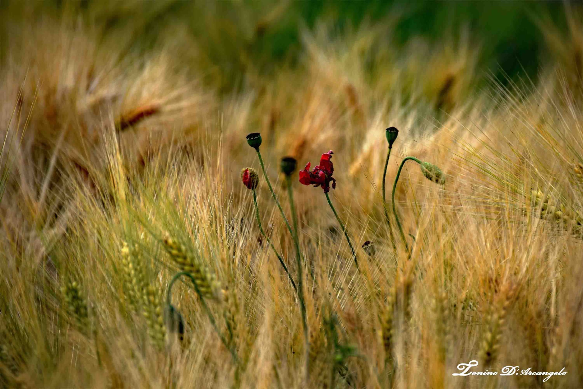 Les mots ne sont pas que des&nbsp;mots