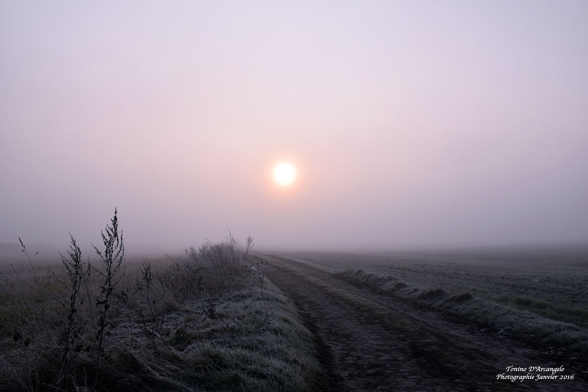 SEUL L&rsquo;AMOUR VA&nbsp;MANQUER