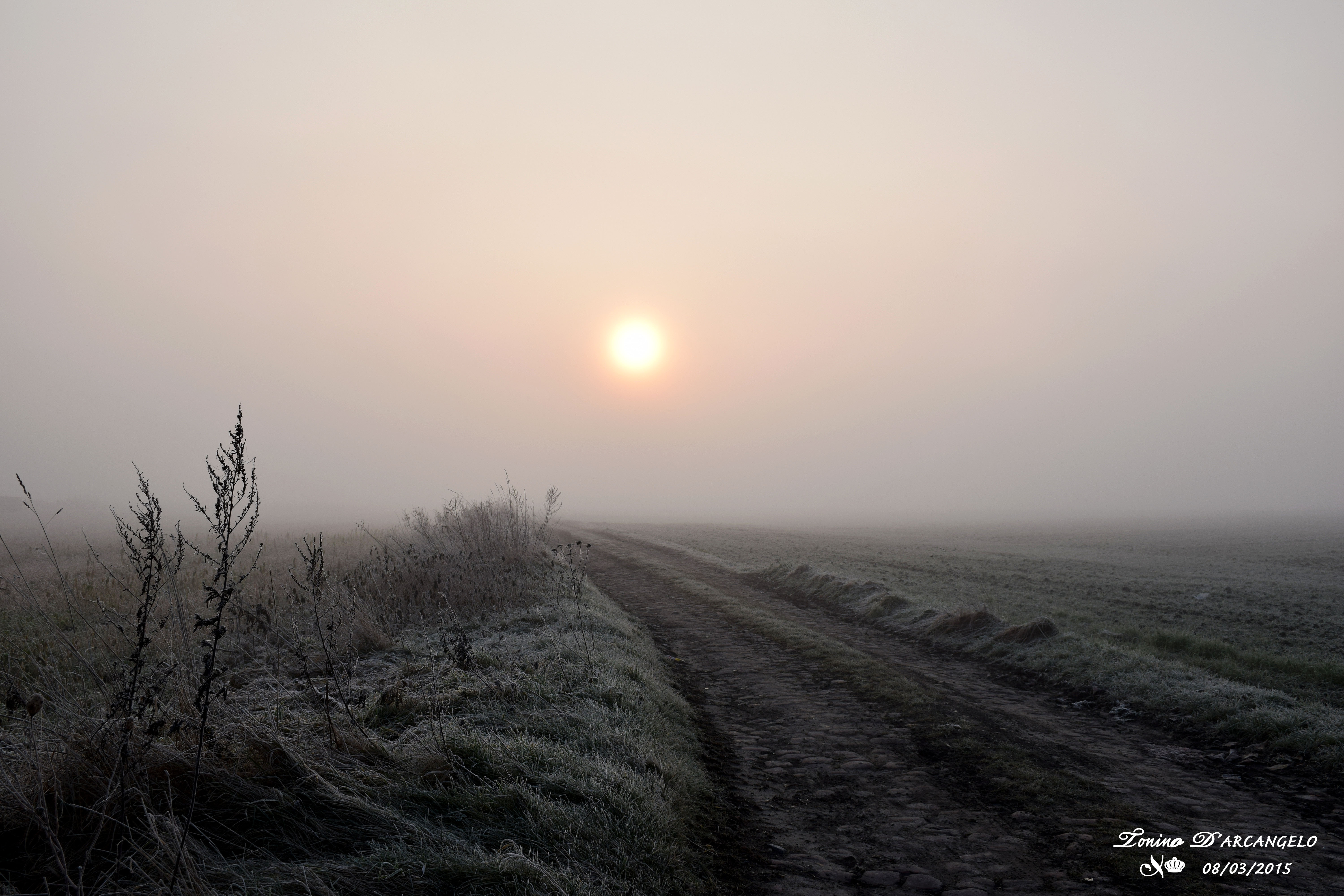 Il fera très chaud aujourd&rsquo;hui
