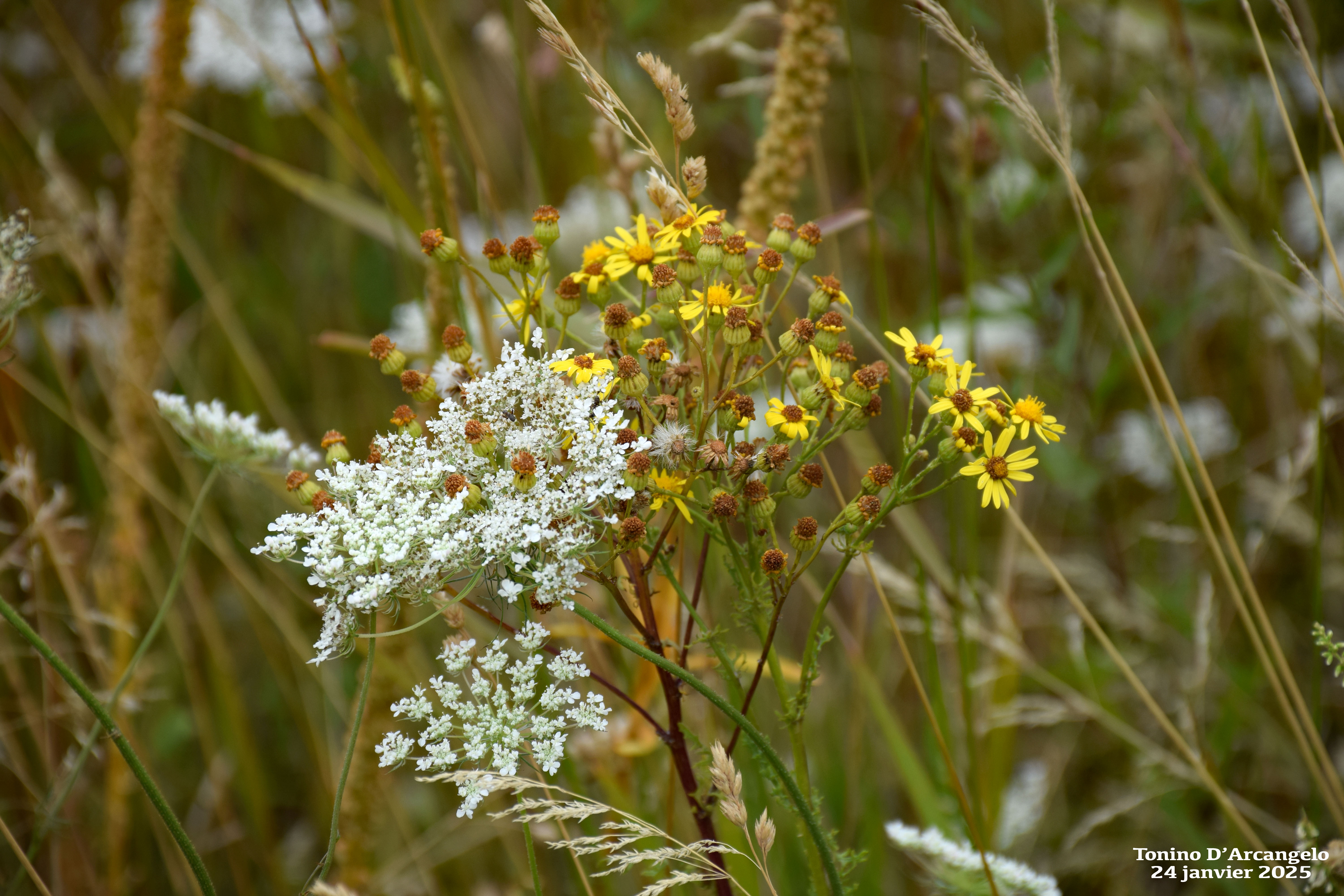 Psalmodie pour notre&nbsp;temps