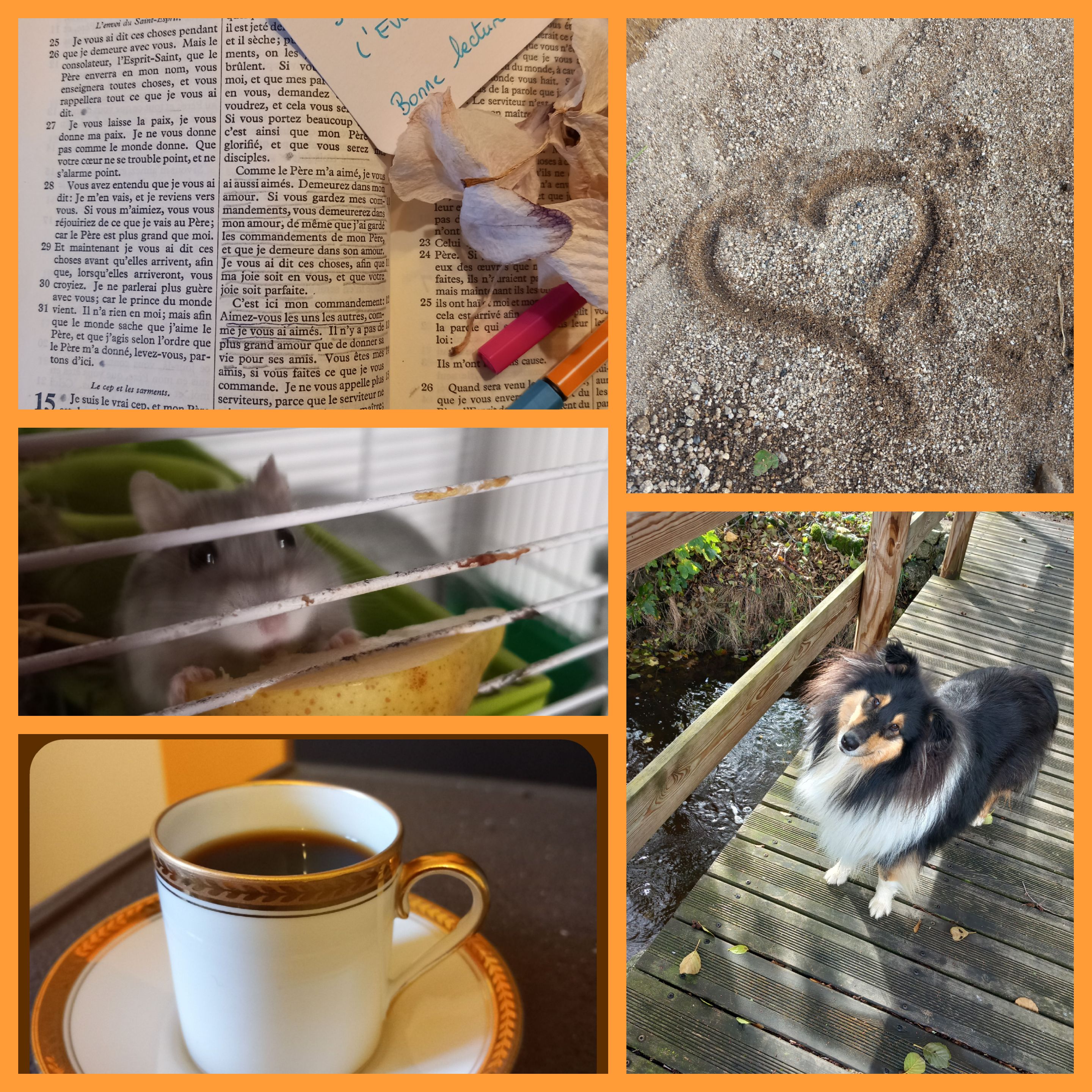 Habitudes matinales…