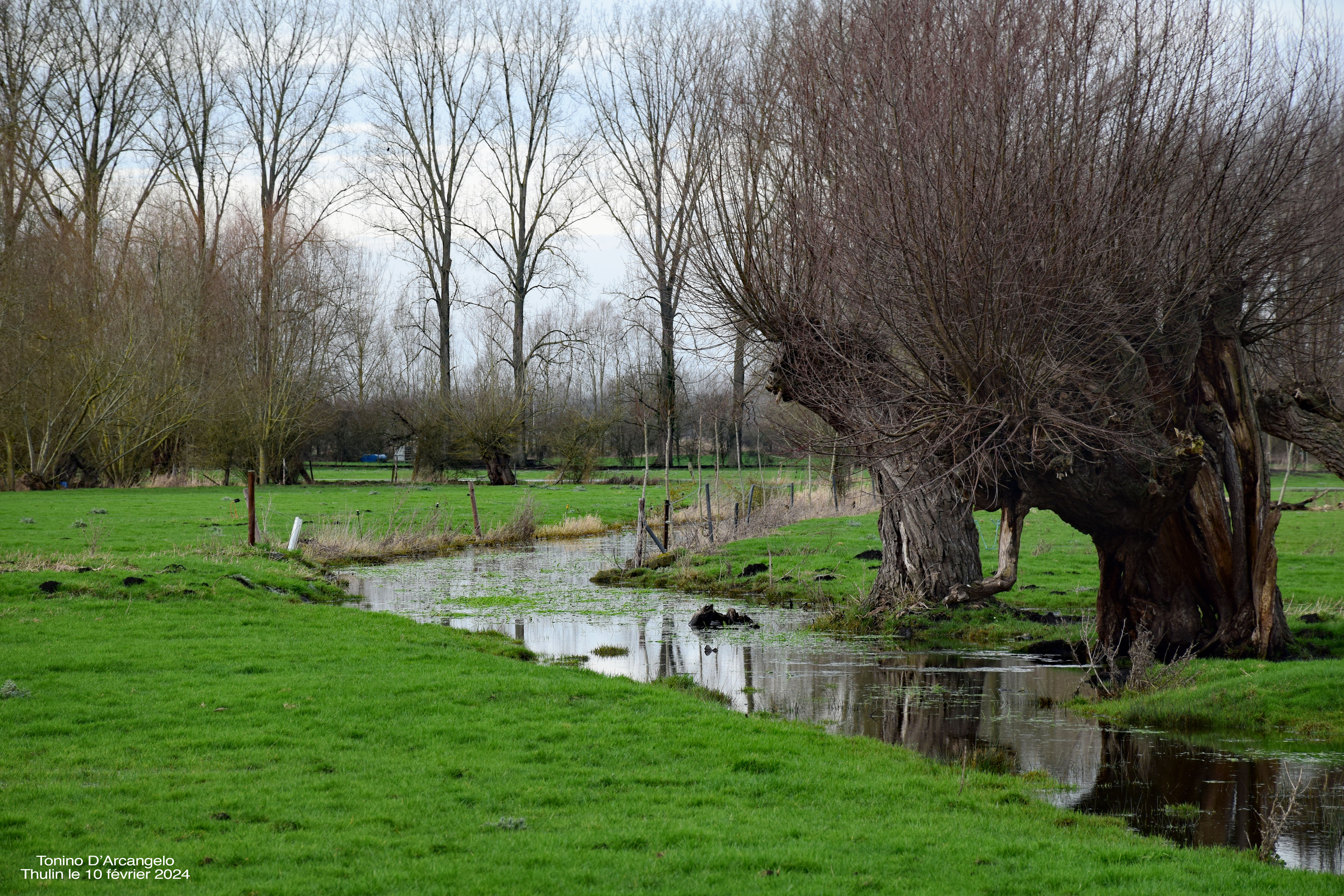 Par amour le ciel pleure aujourd&rsquo;hui