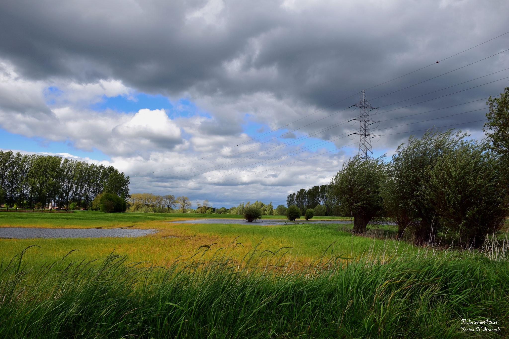 J&rsquo;apprendrai !