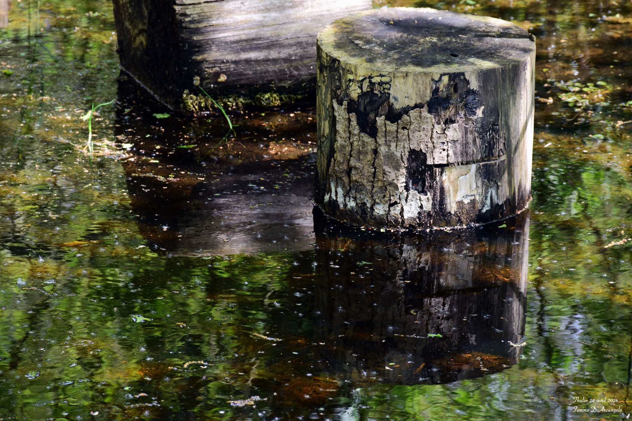 J’ai creusé un&nbsp;puits