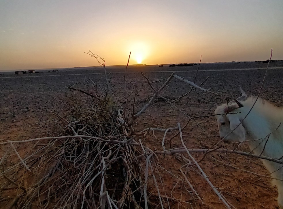 De Morija à Golgotha…